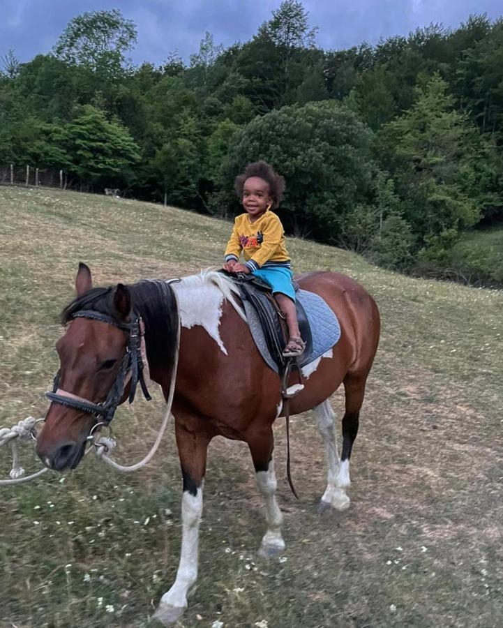 Etno Village Vojnik Savnik Esterno foto