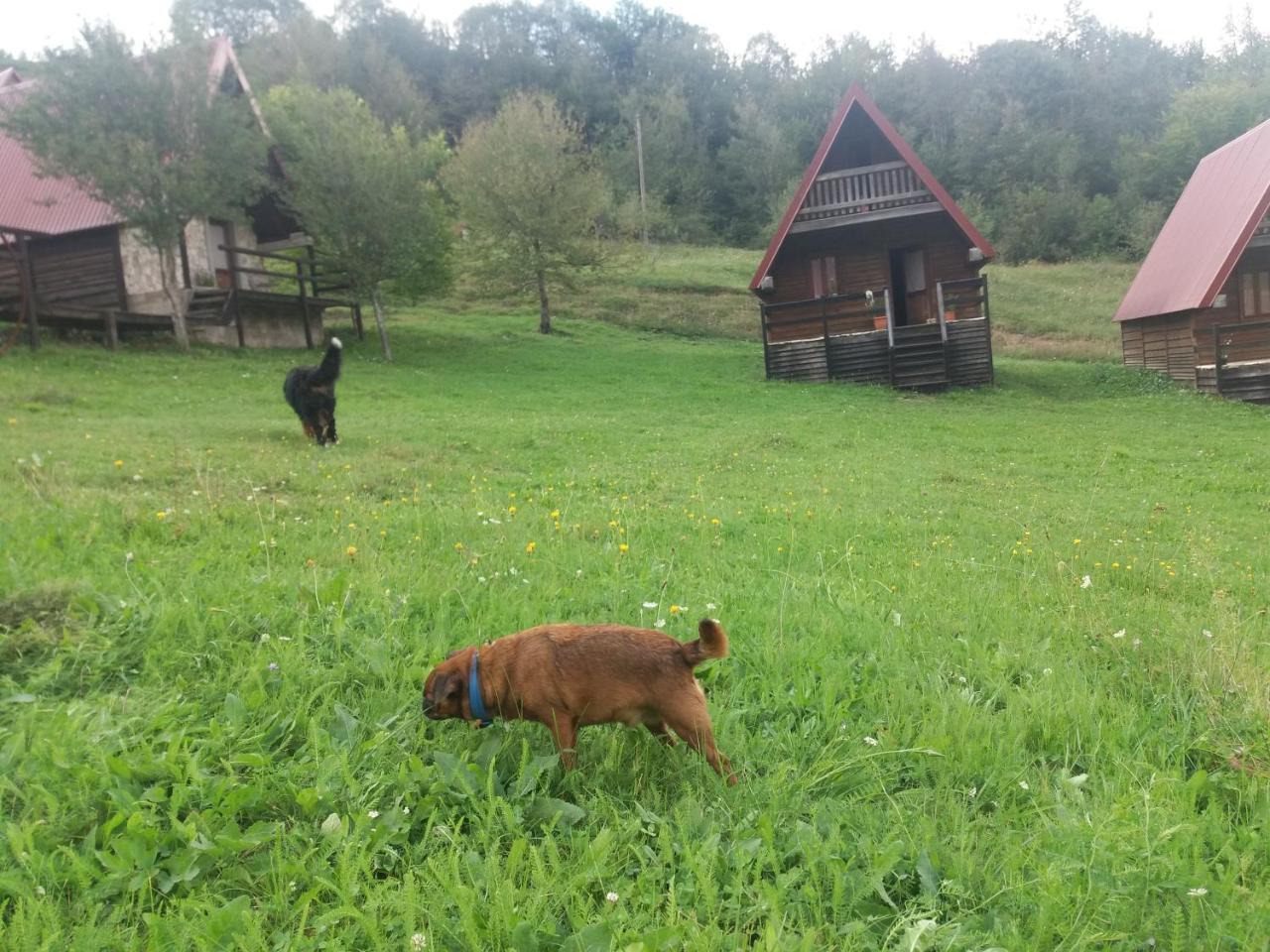 Etno Village Vojnik Savnik Esterno foto