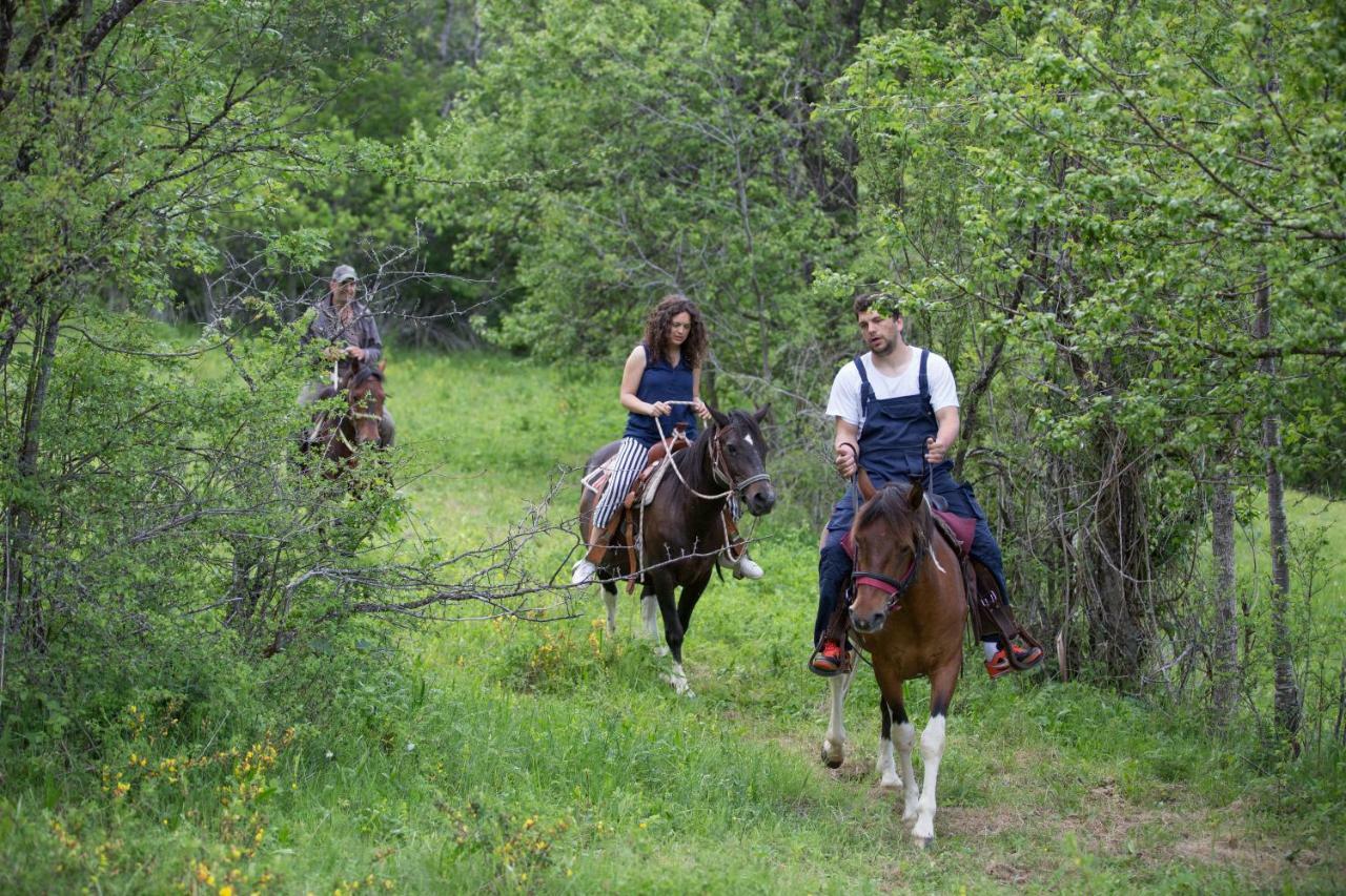 Etno Village Vojnik Savnik Esterno foto