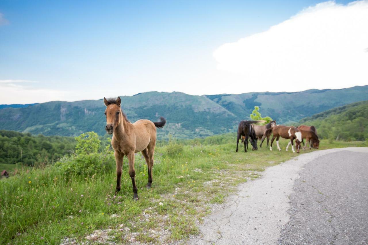 Etno Village Vojnik Savnik Esterno foto